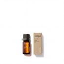 Jurlique Tea Tree Pure Essential Oil Jurlique
