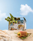 Koala Tea Koala Gift Tin Beach Koala Tea
