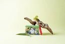 Koala Tea Koala Gift Tin Rainforest Koala Tea