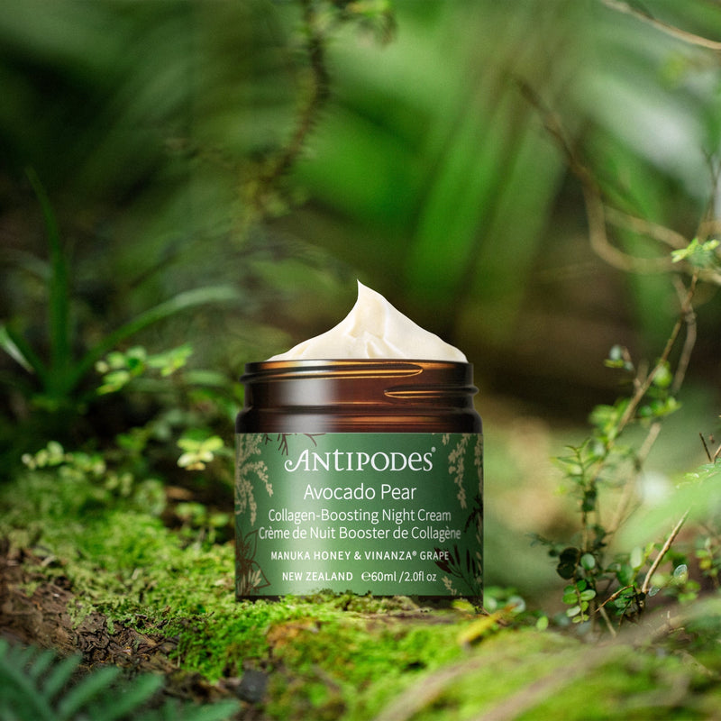 Nourishing Night Cream - Antipodes Avocado Collagen Boosting Hydrating Moisturizer 60ml Antipodes