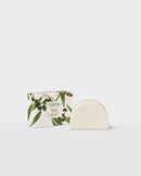 Scent Stems™ Holder XDaySale