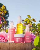 Jurlique Rare Rose Face Oil Jurlique