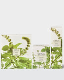 A Refreshed Home XDaySale