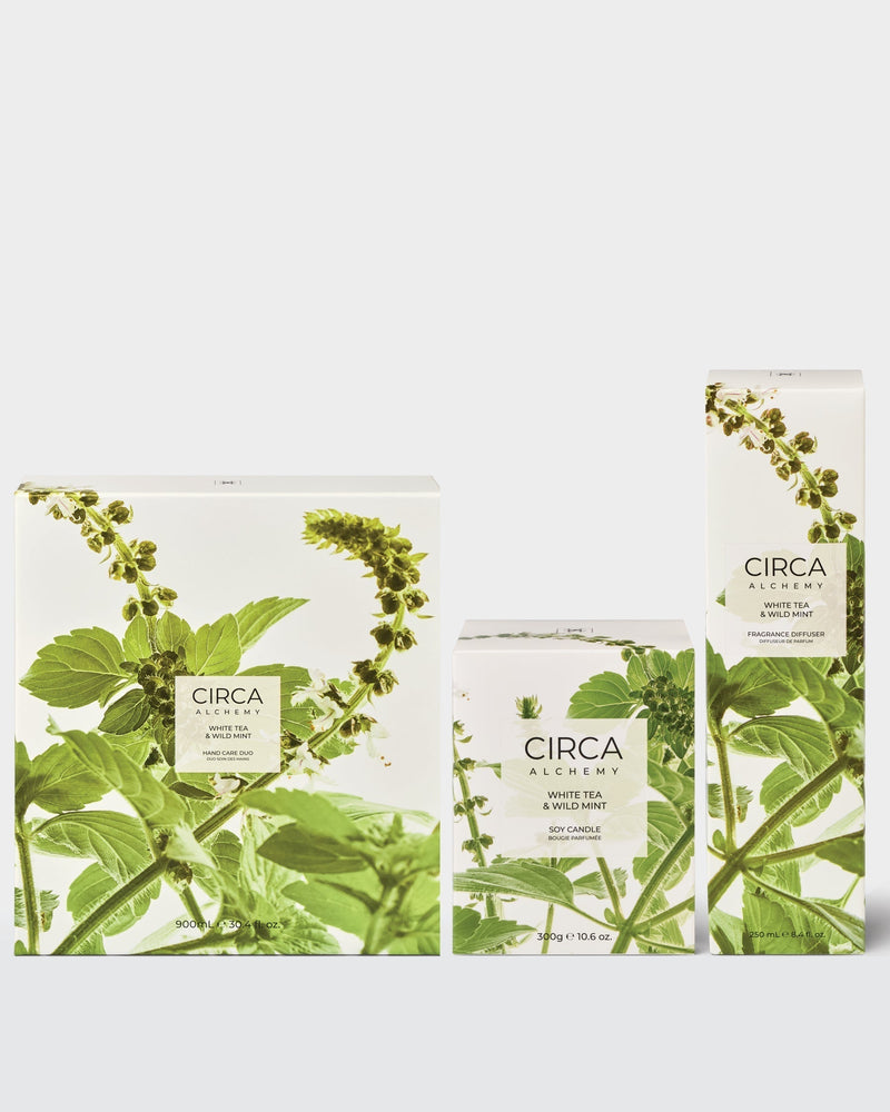 A Refreshed Home XDaySale