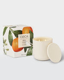 Mandarin & Neroli XDaySale