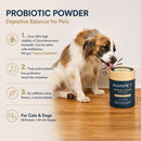 The image is an advertisement for a probiotic powder for pets, featuring a dog sitting on a wooden floor next to a can of the powder.