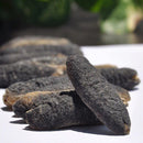 Australian Bald Sea Cucumber – Wild Holothuria Scabra | High Protein, Low Fat Food Joyce