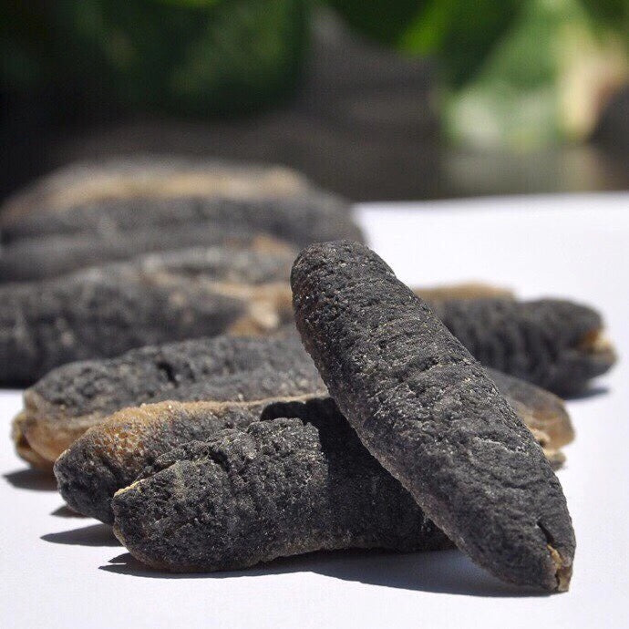 Australian Bald Sea Cucumber – Wild Holothuria Scabra | High Protein, Low Fat Food Joyce