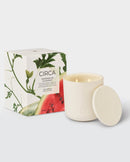 Watermelon & Coconut XDaySale