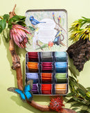 Koala Tea Discovery Premium Koala GiftTin Koala Tea