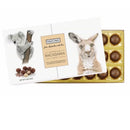 a box of Patons Australian Macadamia Nut chocolates, featuring a koala and a kangaroo.