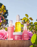 Jurlique Rare Rose Face Oil Jurlique
