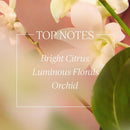 Loccitane Neroli and Orchidee Hand Cream, 75 ml XDaySale