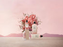 L'Occitane Rose Hand Cream 75ml XDaySale