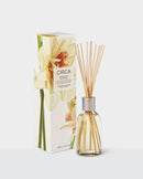 Narcissus & Patchouli XDaySale