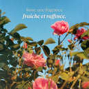 Rose by LOccitane for Women - 2.5 oz EDT Spray XDaySale