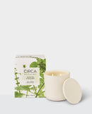 White Tea & Wild Mint XDaySale