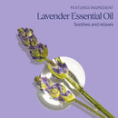 L'OCCITANE Foaming Bath: Relaxing Lavender, Comforting Shea, Beautifying Almond Milk, Citrusy Verbena, Cleansing Bubble Bath, 16.9 Fl. Oz XDaySale