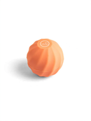 An orange, round container with a white logo on it, sitting on a white background.