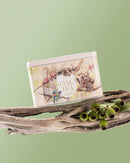 Koala Tea Koala Gift Tin Forest Koala Tea
