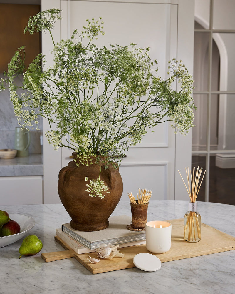 Grapefruit & Cedarwood XDaySale