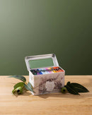 Koala Tea Koala Gift Tin Forest Koala Tea