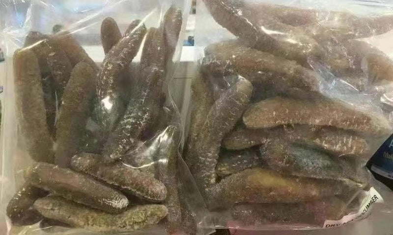 Australian Golden Sea Cucumber – Wild Deep Sea Seafood | Sticky Chewy Texture Joyce