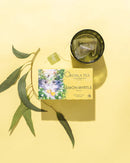 Koala Tea - Lemon Myrtle Koala Collection Koala Tea