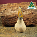 KANGAROO SCROTUM BOTTLE OPENER - KANGAROO MUSCLE (LARGE) - XDaySale