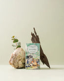 Koala Tea - Eucalyptus Koala Collection Koala Tea