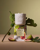 White Fig & Cedar XDaySale