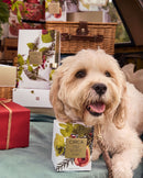 White Fig & Cedar XDaySale