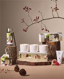 Christmas Candle Trio XDaySale