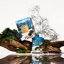 Chalet Chic XDaySale