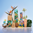 Sunlit Saltwater XDaySale