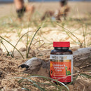 Herbs of Gold Children's Immune Care Herbs of gold