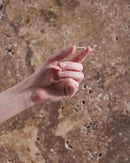 Herbs of Gold Ginkgo Biloba 6000 Herbs of gold