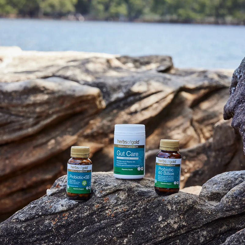 Herbs of Gold Probiotic 60 Billion Herbs of gold