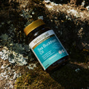 Herbs of Gold Sea Buckthorn Oil Herbs of gold