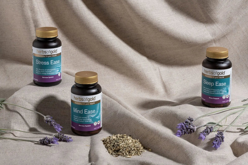 Herbs of Gold St John's Wort 3600 Herbs of gold