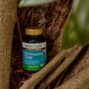 Herbs of Gold Wormwood Clear Herbs of gold