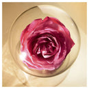 Lancome - Absolue Cleansing Oil-In-Gel 125ml XDaySale