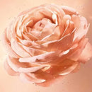 Lancome - Absolue Essence In Powder 15g XDaySale