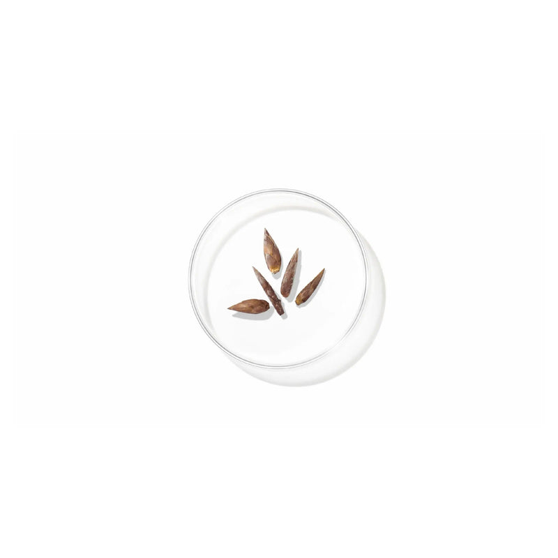 Lancome - Clarifique Dual Essence XDaySale