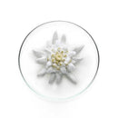 Lancome UV Expert BB Complete XDaySale