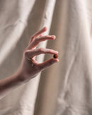 Super Brahmi 6000 XDaySale