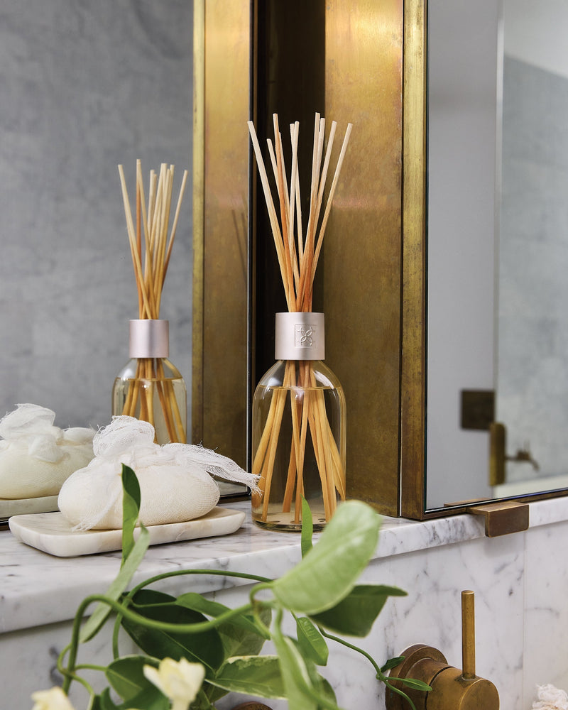 Summer Fruits Diffuser Collection XDaySale