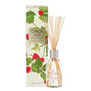 a glass vase with a clear glass body and a silver cap, filled with reed sticks, and a box with a green and white floral design and red berries printed on it.