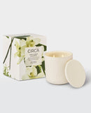 Vanilla Bean & Allspice XDaySale