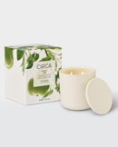 Pear & Lime XDaySale